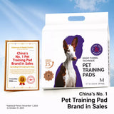 Absorbent Dog Training Pads for Indoor Potty Training