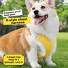 X-Style Dog Harness and Leash Set