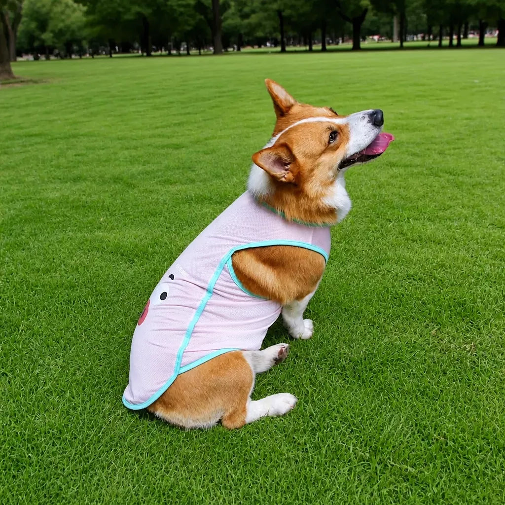 Lightweight Summer Pet Vest for Dogs and Cats