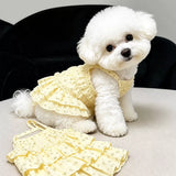Cotton Pet Dress with Tiered Skirt