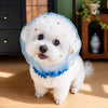 Breathable Mesh Dog Muzzle for Small to Medium Dogs