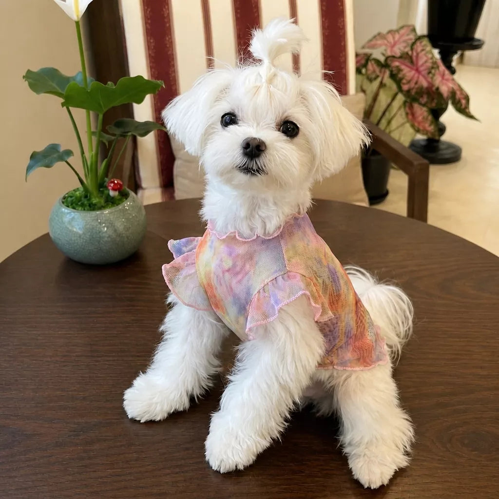 Lightweight Mesh Pet Vest for Dogs and Cats