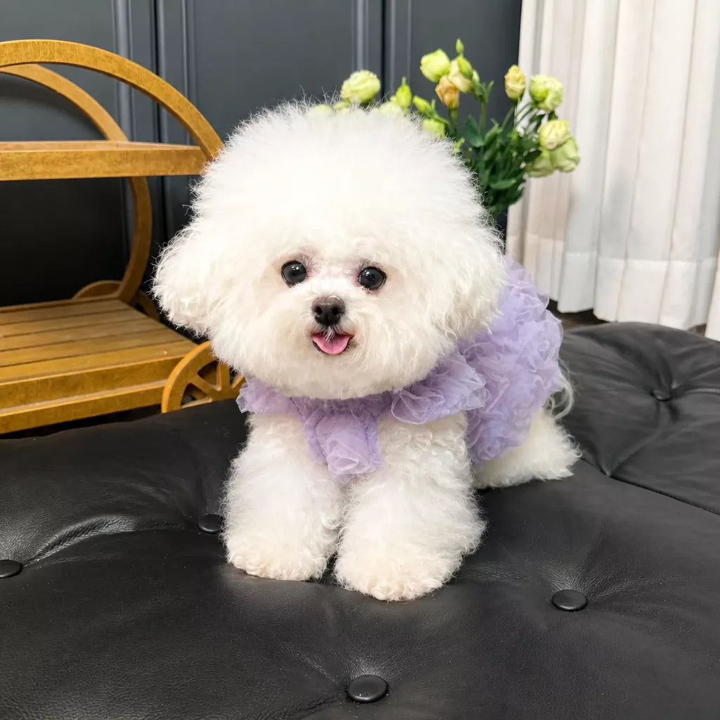 Pet Summer Dress with Suspender-Style Straps