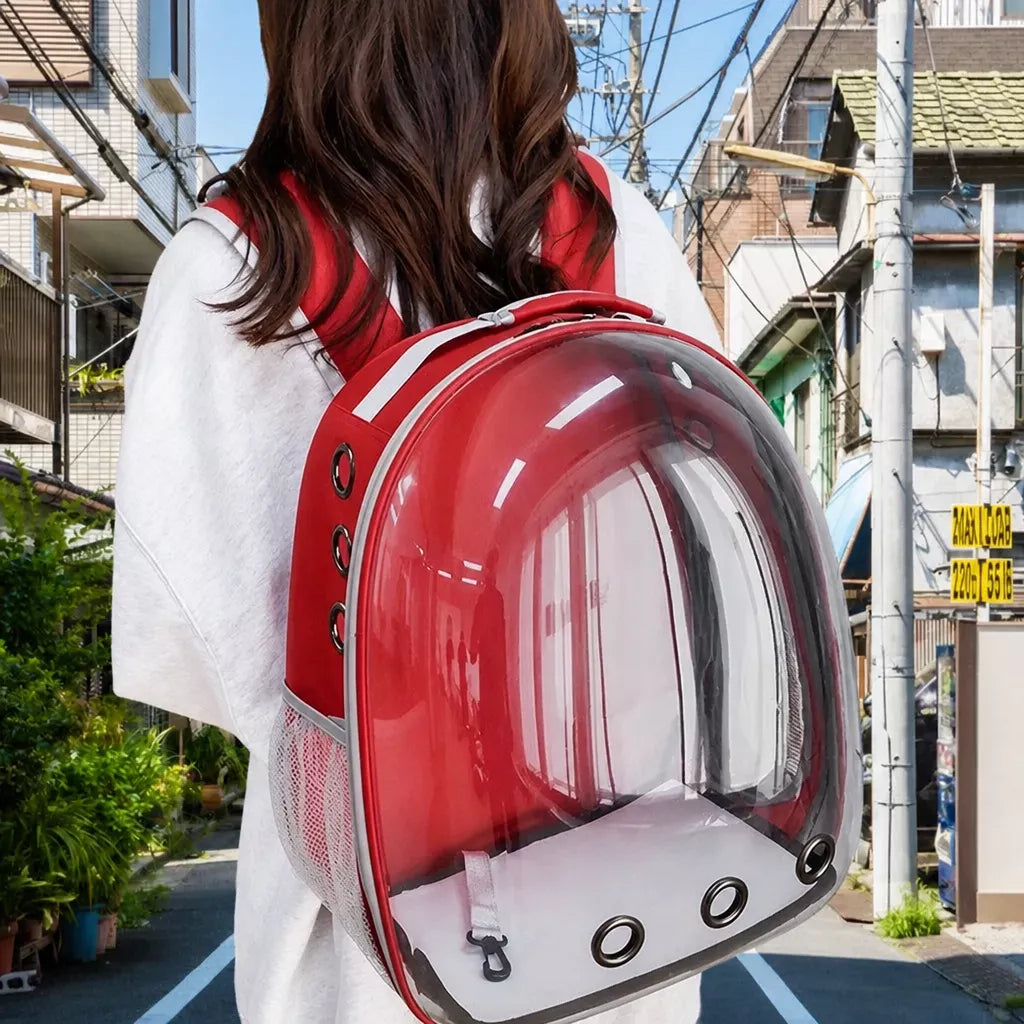 Transparent Pet Carrier Backpack for Cats and Small Dogs