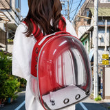 Transparent Pet Carrier Backpack for Cats and Small Dogs