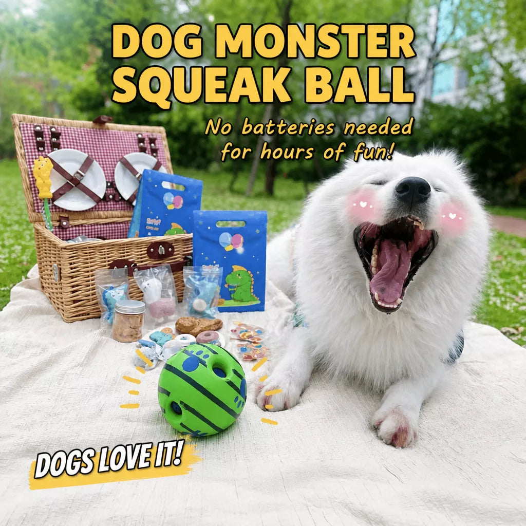 Interactive Squeaky Ball Dog Toy