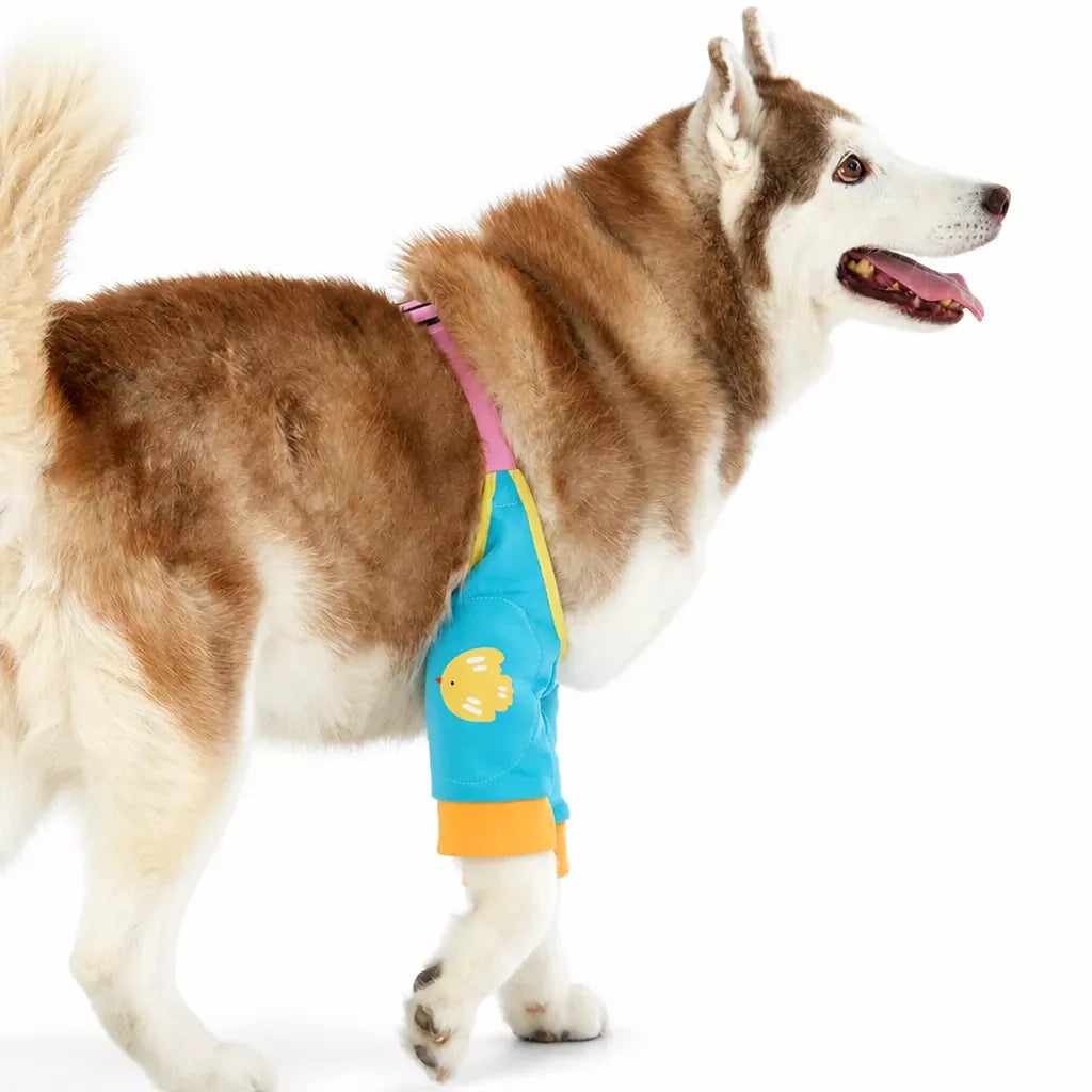 Dog Leg Cover for Year-Round Everyday Wear
