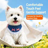 Dog Harness and Leash Set for Small to Medium Dogs