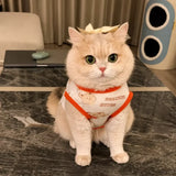 Lightweight Mesh Pet Vest for Cats and Small Dogs