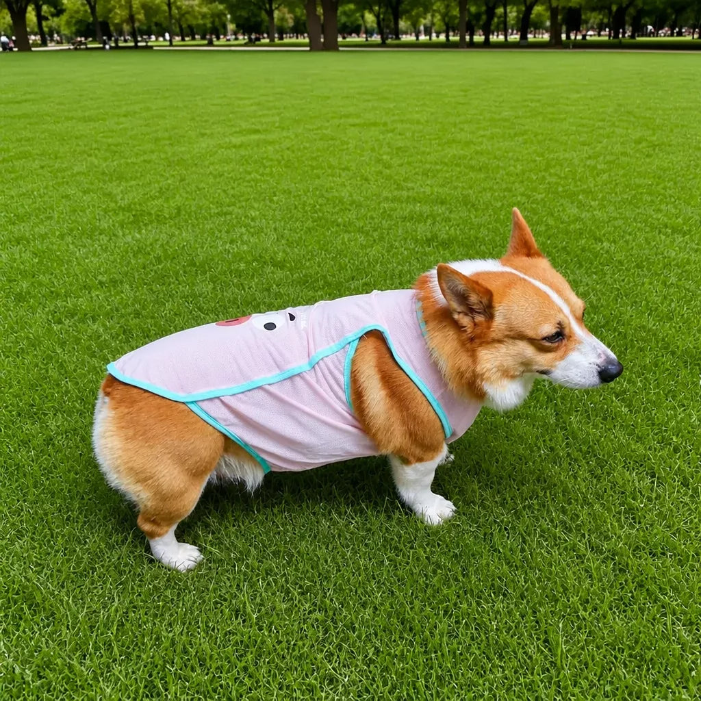 Lightweight Summer Pet Vest for Dogs and Cats