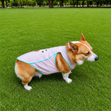 Lightweight Summer Pet Vest for Dogs and Cats