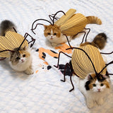 Cockroach-Inspired Cat Costume with Matching Collar