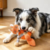 Plush Squeaky Dog Toy