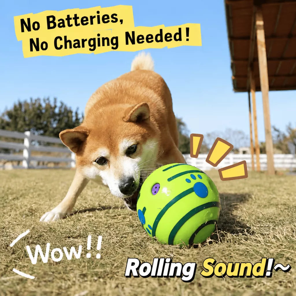 Interactive Squeaky Ball Dog Toy