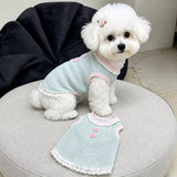 Pet Tank Tops and Strappy Dresses