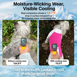 Lightweight Four-Legged Dog Summer Shirt