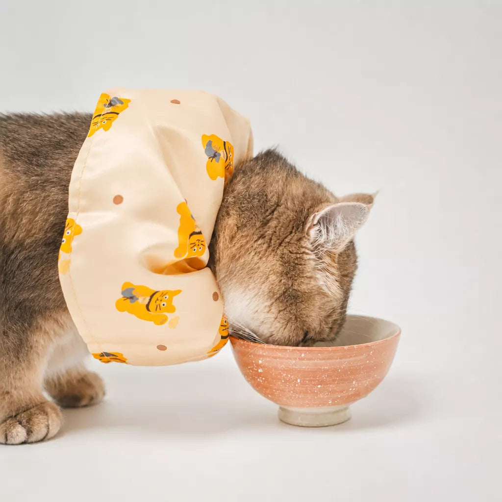 Adjustable Cat & Dog Cone Collar with Maneki-Neko Print