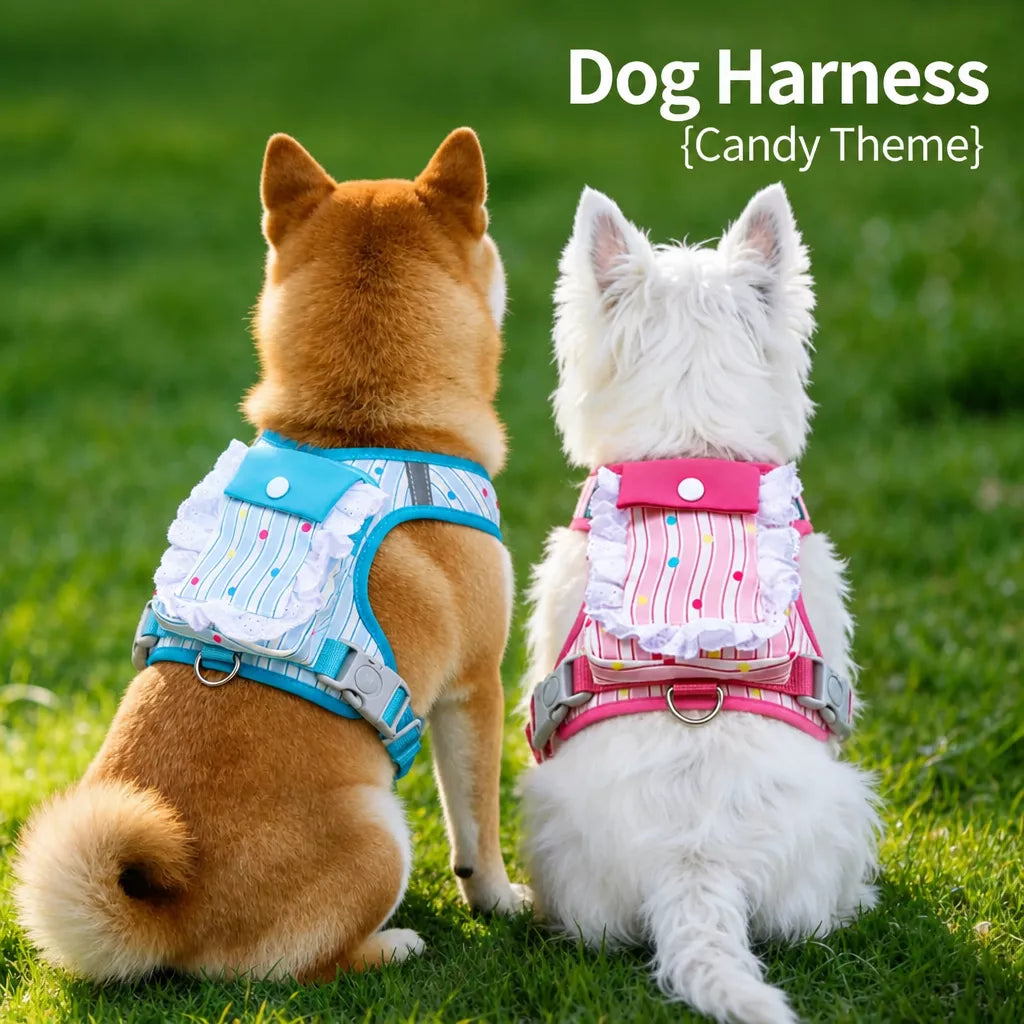 Vest-Style Harness and Leash Set for Small to Medium Dogs
