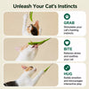 Cat Teaser Wand Toy with Feather & Fiber Teasers