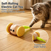 Rechargeable Interactive Cat Toy with Mouse and Car Designs