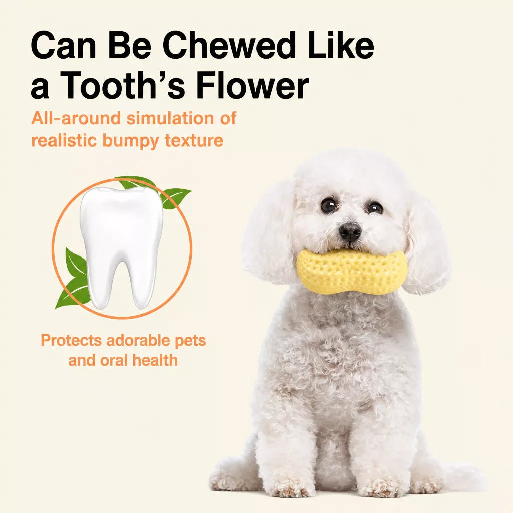 Squeaky Peanut-Shaped Dog Toy