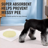 Pet Urine Absorbent Pads
