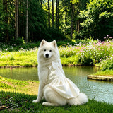 Formal Dress for Large Dogs