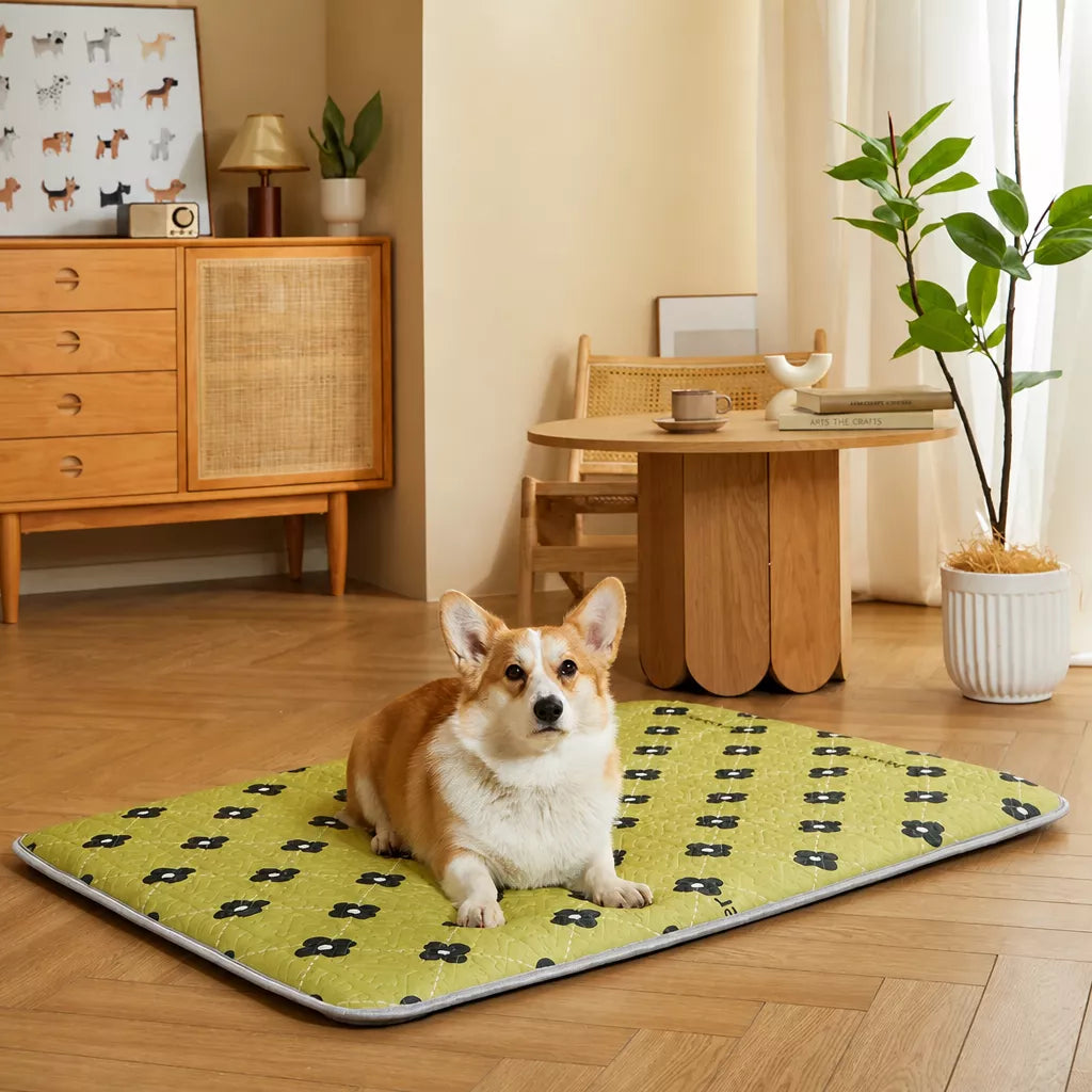 Nylon Pet Mat Bed for Dogs and Cats