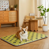 Nylon Pet Mat Bed for Dogs and Cats