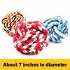 Latex Squeaky Chew Toy for Small Dogs – Assorted Shapes