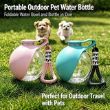 Portable Pet Water Bottle with Foldable Silicone Bowl