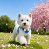 Small Dog Vest Harness and Leash for Puppies