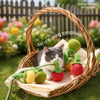 Felt Tomato Cat Wand Toy with Bell