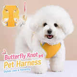 Small Dog Harness & Leash