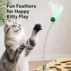 Interactive Cat Activity Box with Scratch Pad and Toy Balls