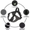 Lightweight Adjustable Nylon Dog Harness with Leash