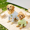 Breathable Mesh Four-Leg Dog Jumpsuit