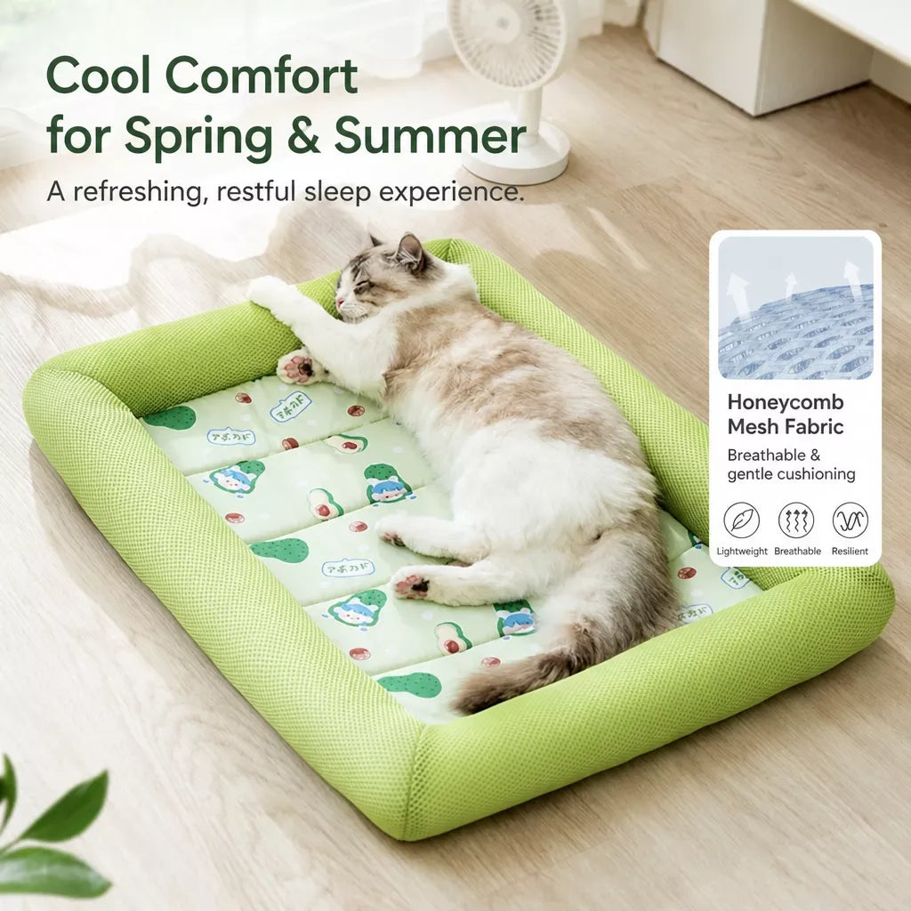 Washable Pet Bed for Dogs with Removable Cover