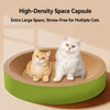Cat Scratcher Bed for Scratching and Lounging