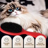Boar Bristle Grooming Comb for Dogs and Cats