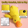Plush Squeaky Dog Toys for Puppies, Small, Medium, and Large Dogs