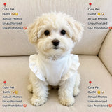 Bow Tie Flutter-Sleeve Pet Vest