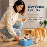 Pet Slow Feeder Bowl with Lick Ball and Water Dish