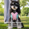 X-Style Dog Harness and Leash Set