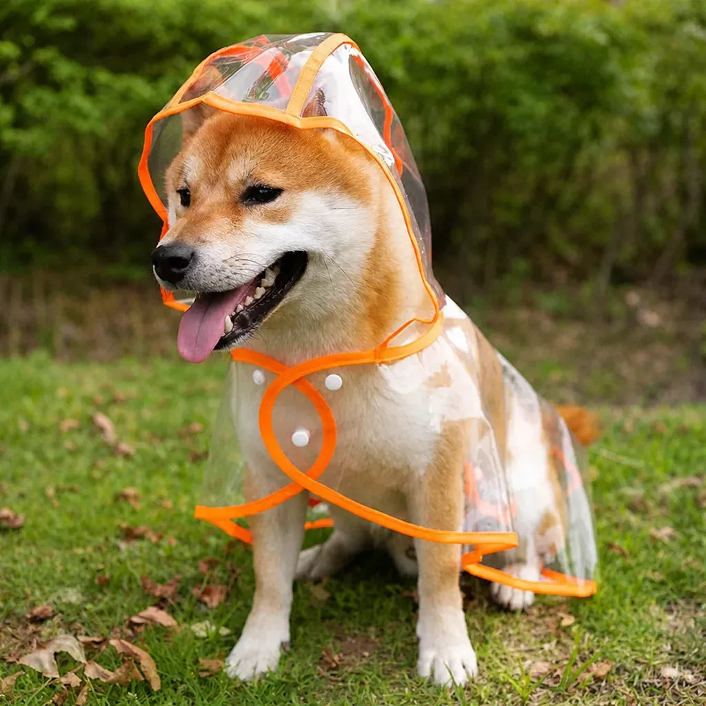 Transparent EVA Raincoat for Dogs