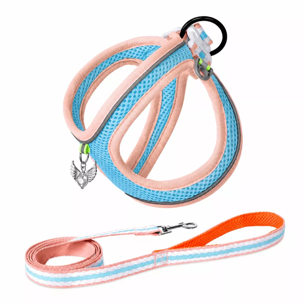 Adjustable Dog Harness with 4.6-ft Leash for Small Dogs