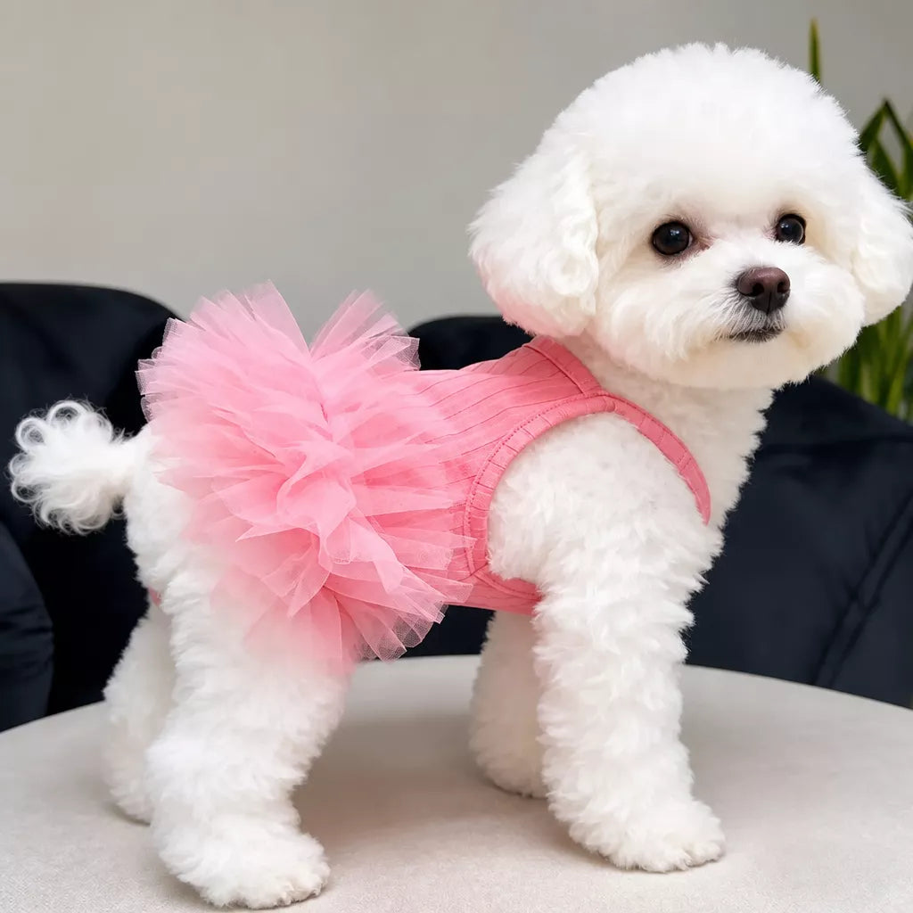 Pet Dress for Small Dogs and Cats