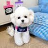 Nylon Pet Harness & Leash for Cats and Small Dogs
