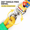 Heavy-Duty Polyester Slip Lead for Small and Medium Dogs