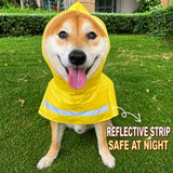 Dog Raincoat Cape for Small to Medium Dogs